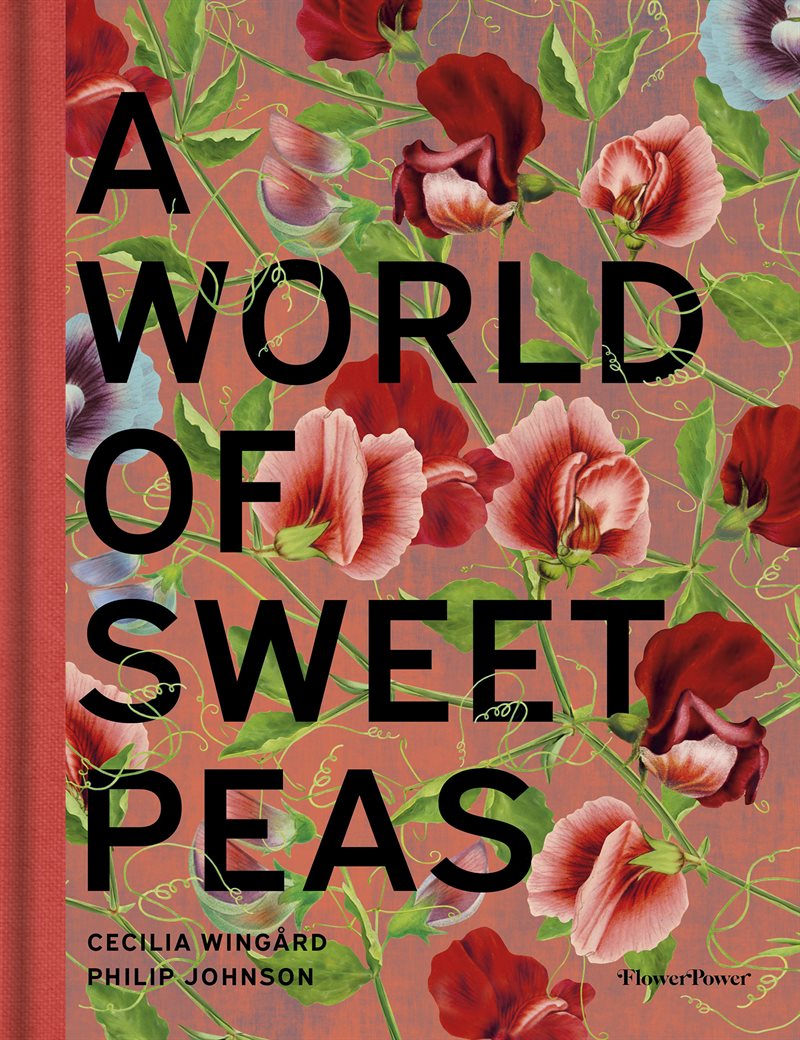 A World of Sweet Peas