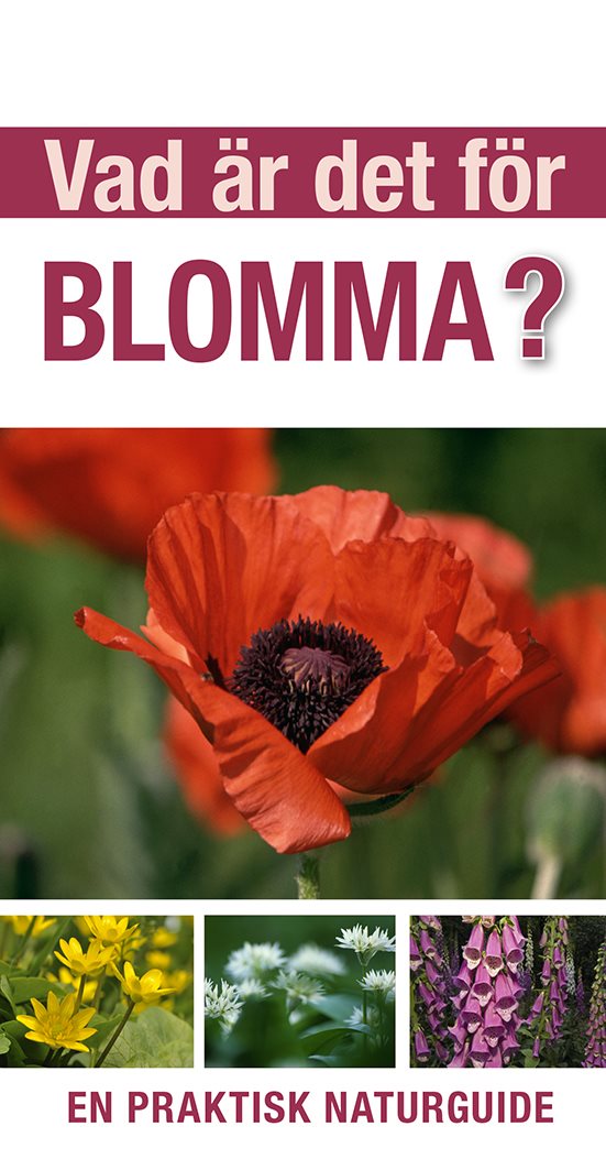 Vad är det för blomma? : en praktisk naturguide