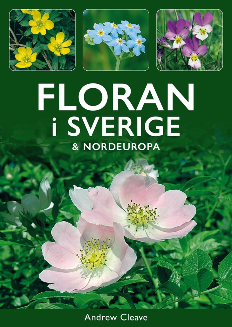 Floran i Sverige & Nordeuropa